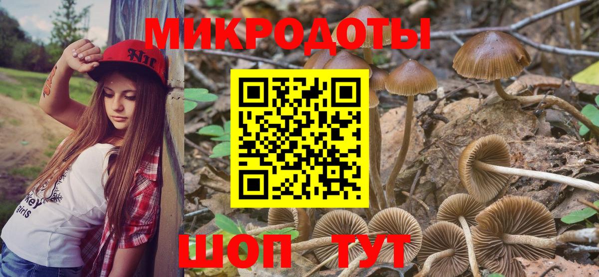 Зеленогорск  Галлюциногенные грибы ЛСД  Псилоцибиновые грибы мухоморы  Вход с VPN 
